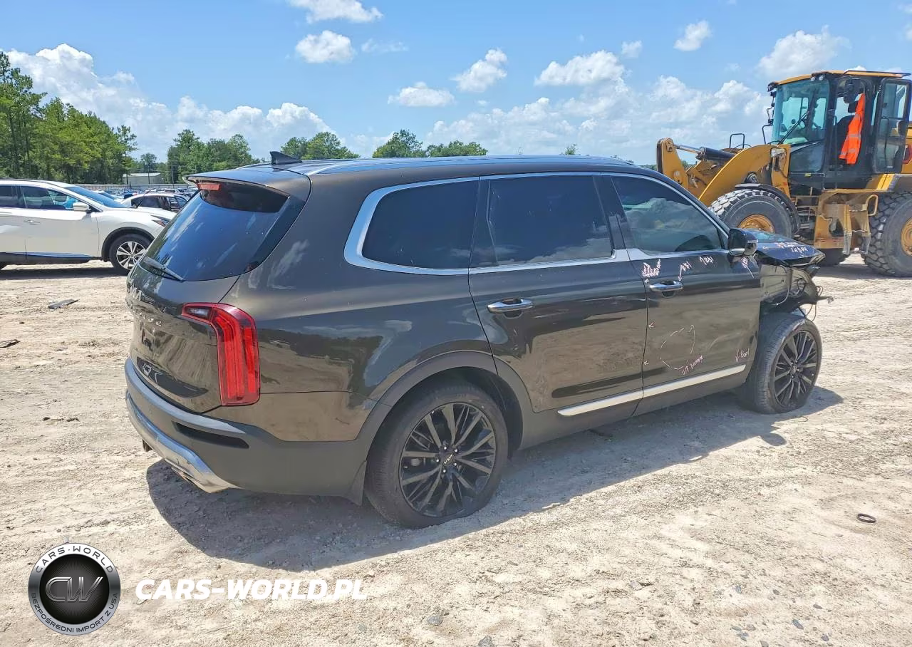 2022 Kia Telluride Sx VIN:5XYP54HC8NG256667 - 3