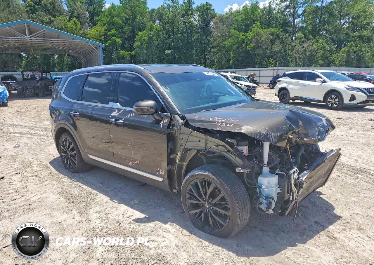2022 Kia Telluride Sx VIN:5XYP54HC8NG256667 - 4