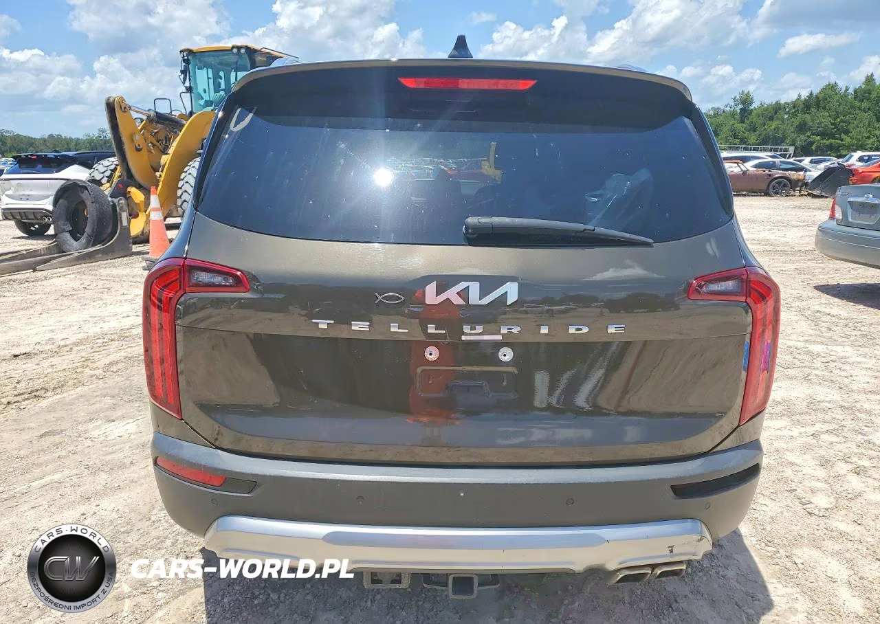 2022 Kia Telluride Sx VIN:5XYP54HC8NG256667 - 6