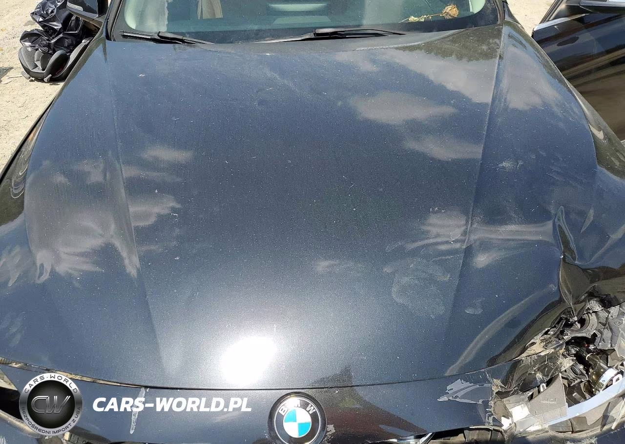 2013 BMW 328 Xi Sulev VIN:WBA3B5G55DNS00626 - 11