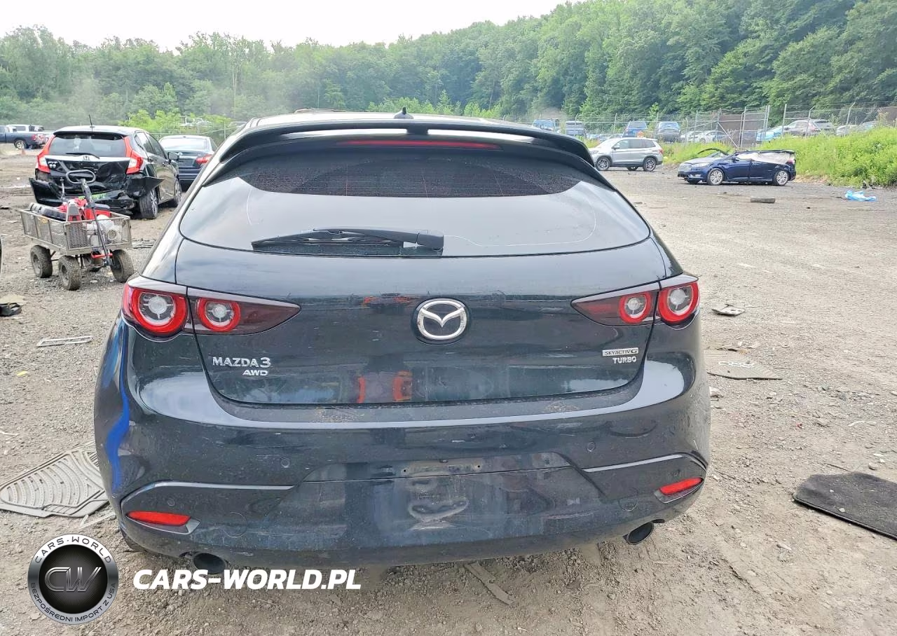 2024 Mazda 3 Premium Plus VIN:JM1BPBNY2R1704335 - 6