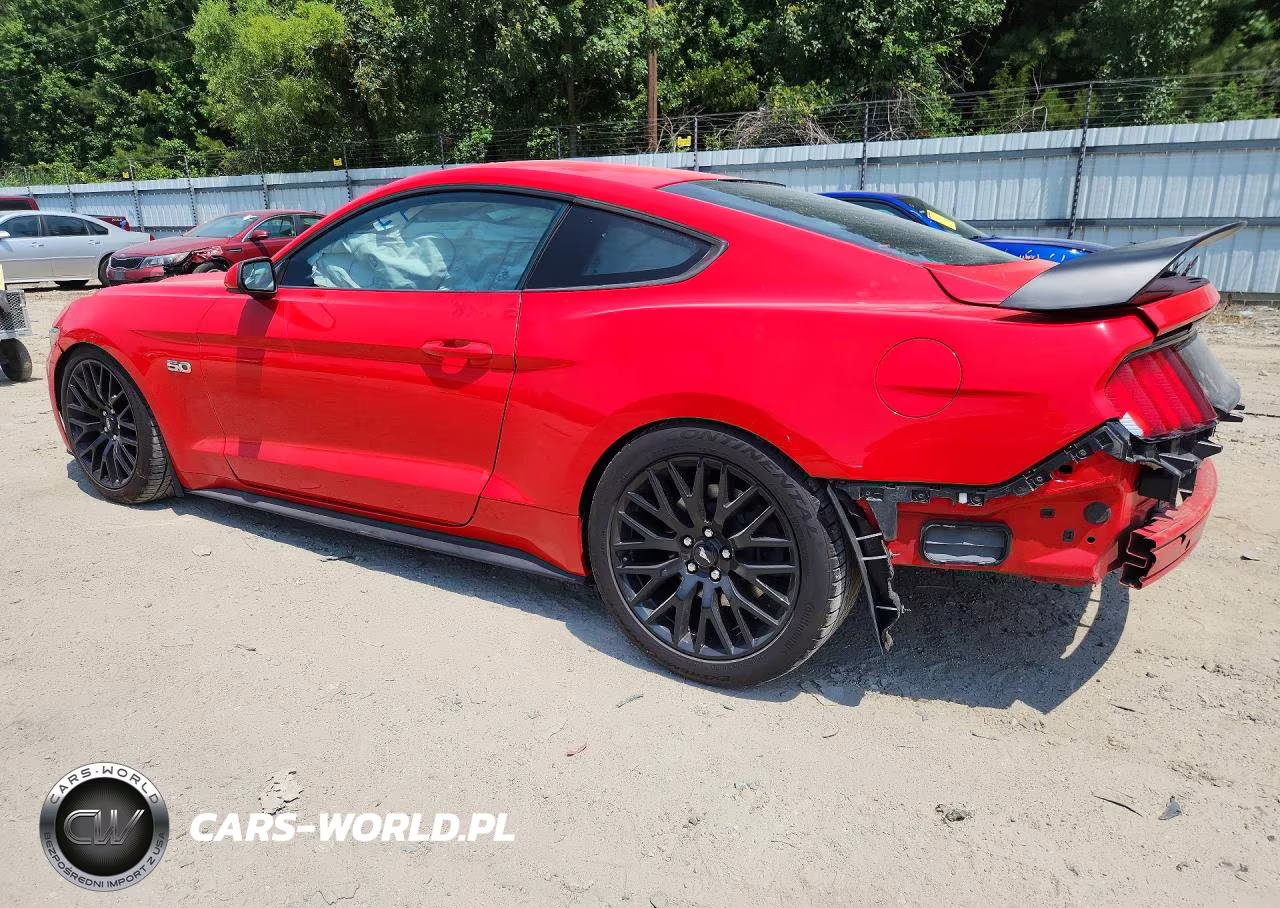 2015 Ford Mustang Gt VIN:1FA6P8CFXF5328659 - 2