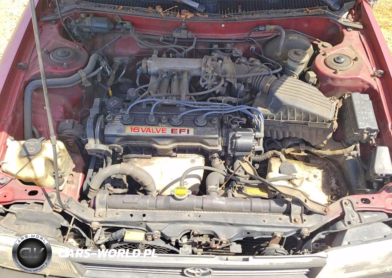 1992 Toyota Corolla Base VIN:2T1AE91A8NC181864 - 11