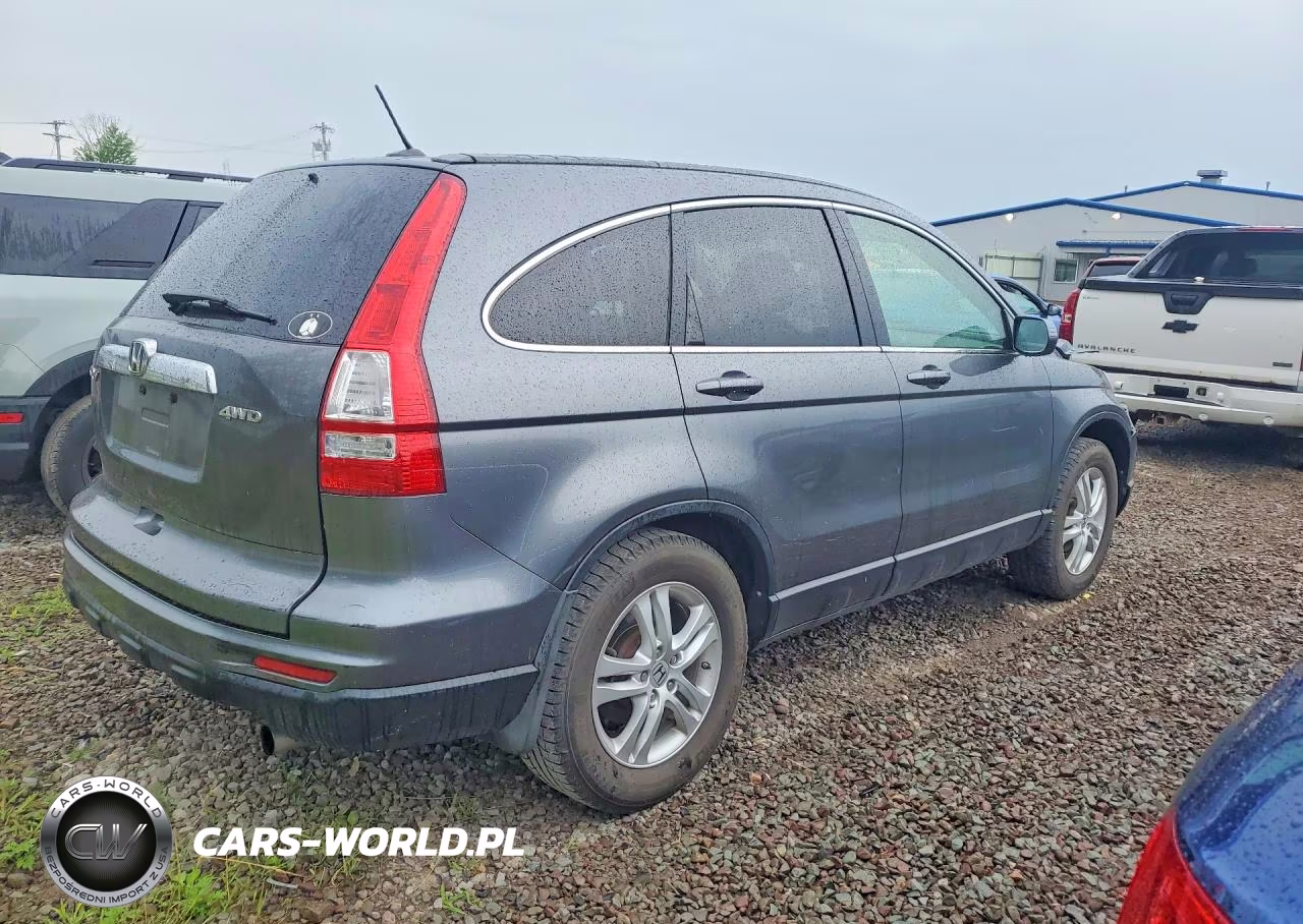 2010 Honda Cr-V Exl VIN:JHLRE4H78AC011719 - 3