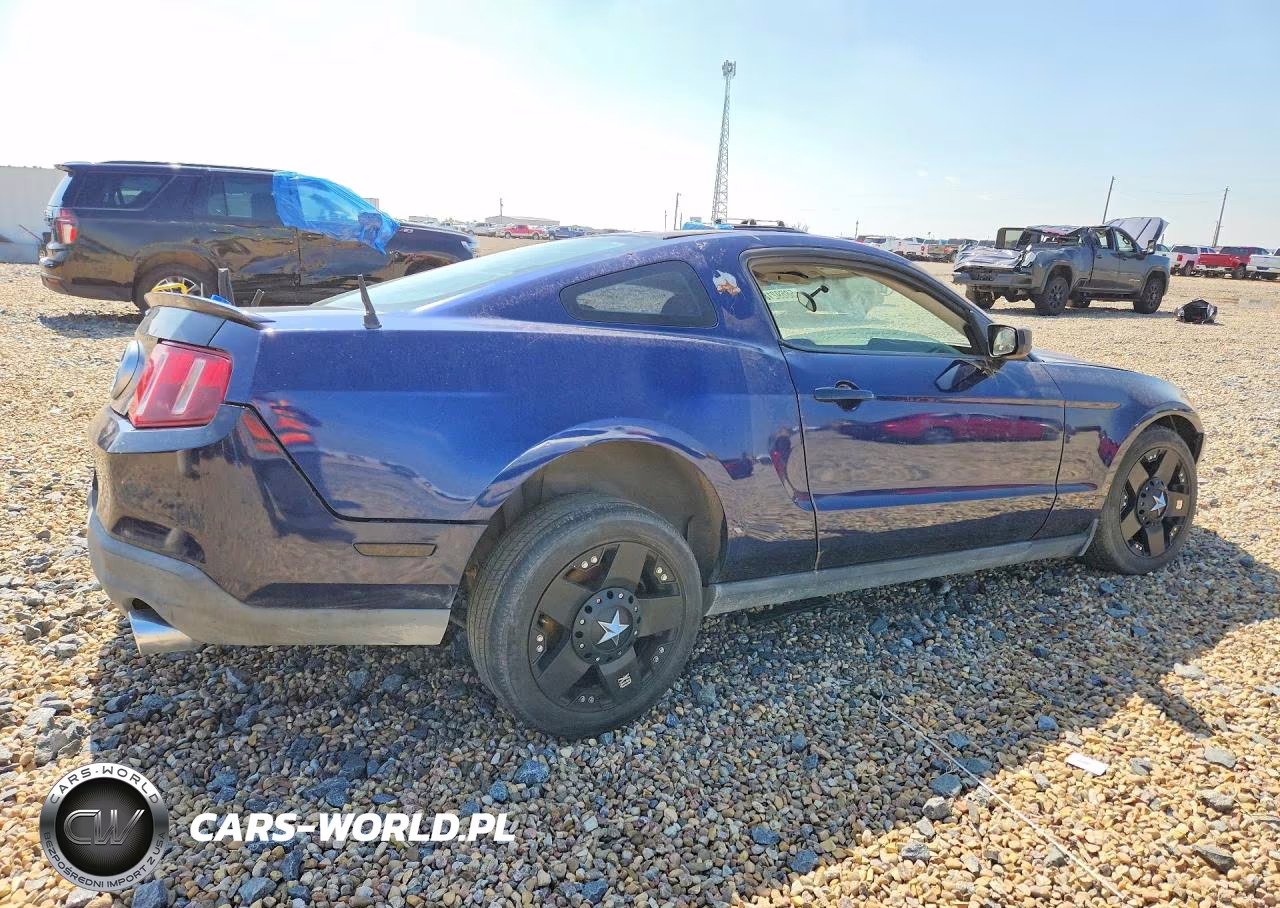 2010 Ford Mustang VIN:1ZVBP8AN8A5172484 - 3
