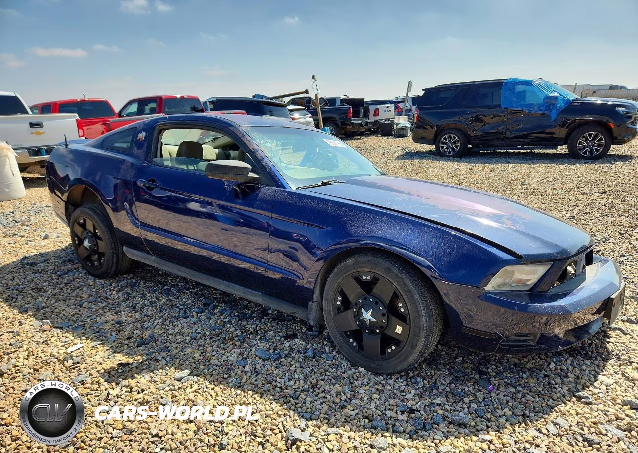 2010 Ford Mustang VIN:1ZVBP8AN8A5172484 - 4