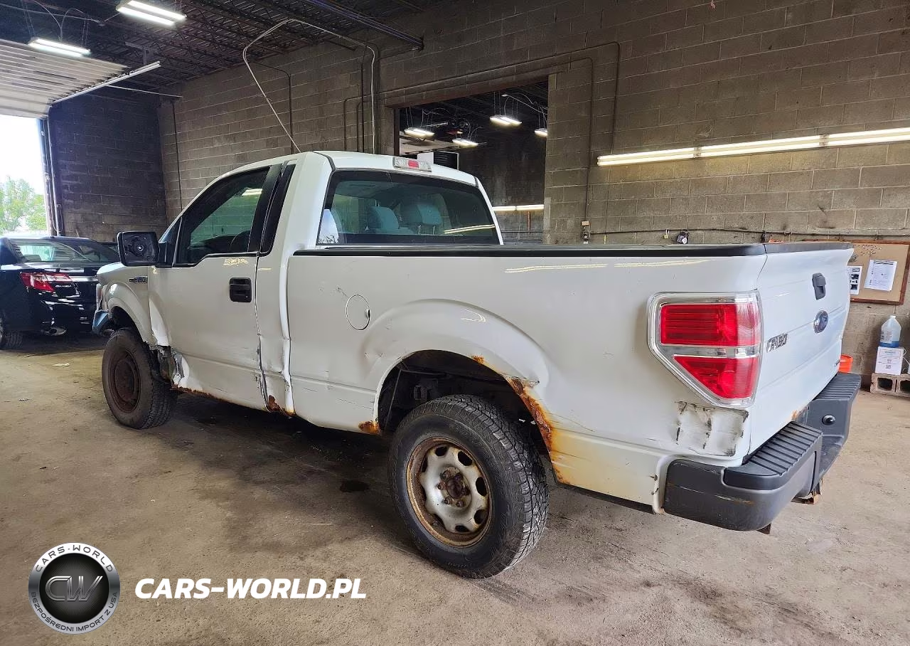 2013 Ford F150 VIN:1FTMF1EM2DFA39922 - 2
