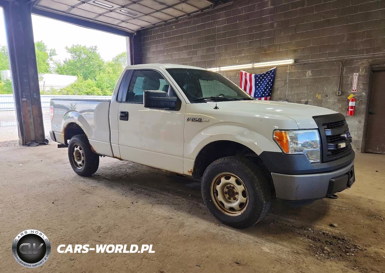 2013 Ford F150 VIN:1FTMF1EM2DFA39922 - 4