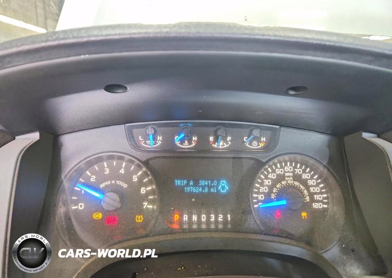 2013 Ford F150 VIN:1FTMF1EM2DFA39922 - 9