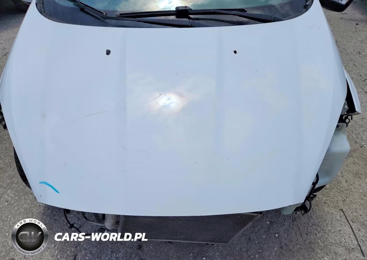 2016 Ford Fiesta Se VIN:3FADP4EJ9GM144214 - 11