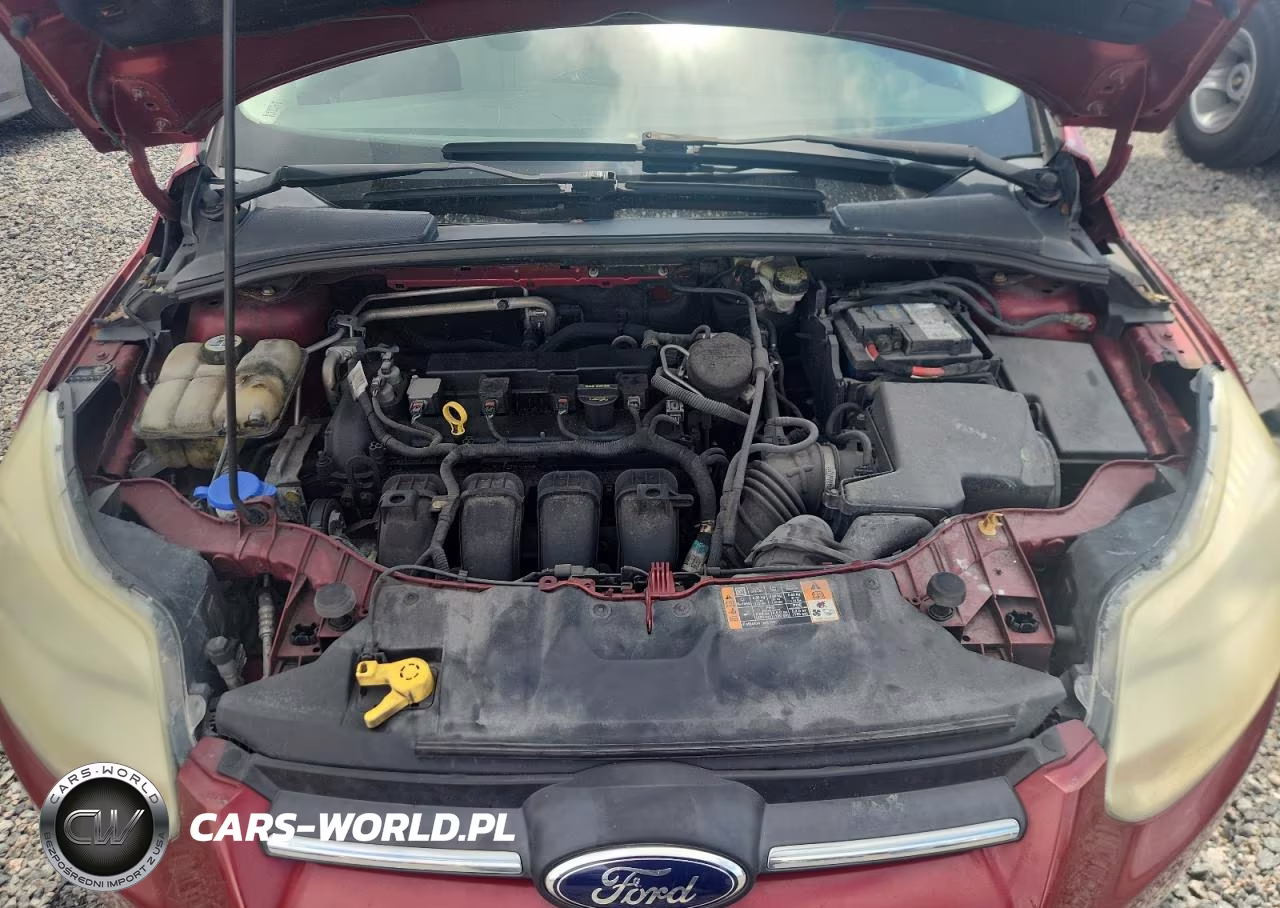 2013 Ford Focus Se VIN:1FADP3F29DL161691 - 11