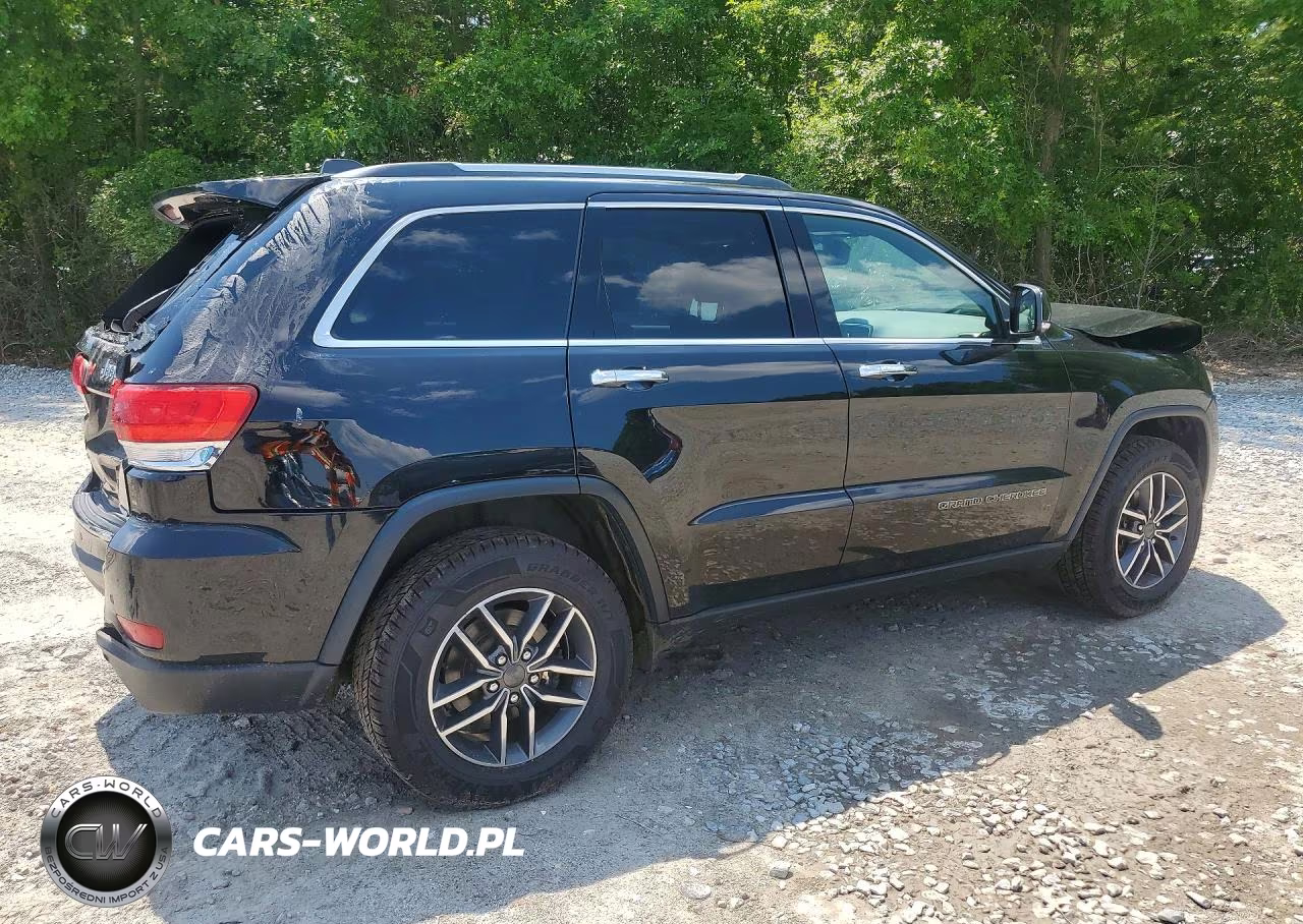 2019 Jeep Grand Cherokee Limited VIN:1C4RJFBG3KC787397 - 3