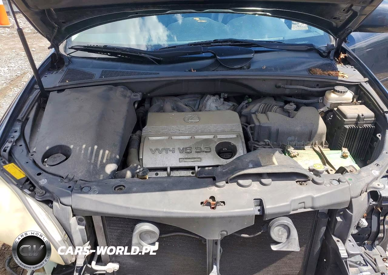 2004 Lexus Rx 330 VIN:2T2HA31U84C008633 - 12
