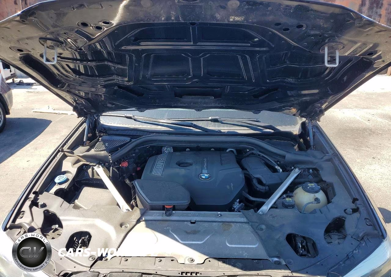 2019 BMW X3 Sdrive30I VIN:5UXTR7C52KLF32811 - 11