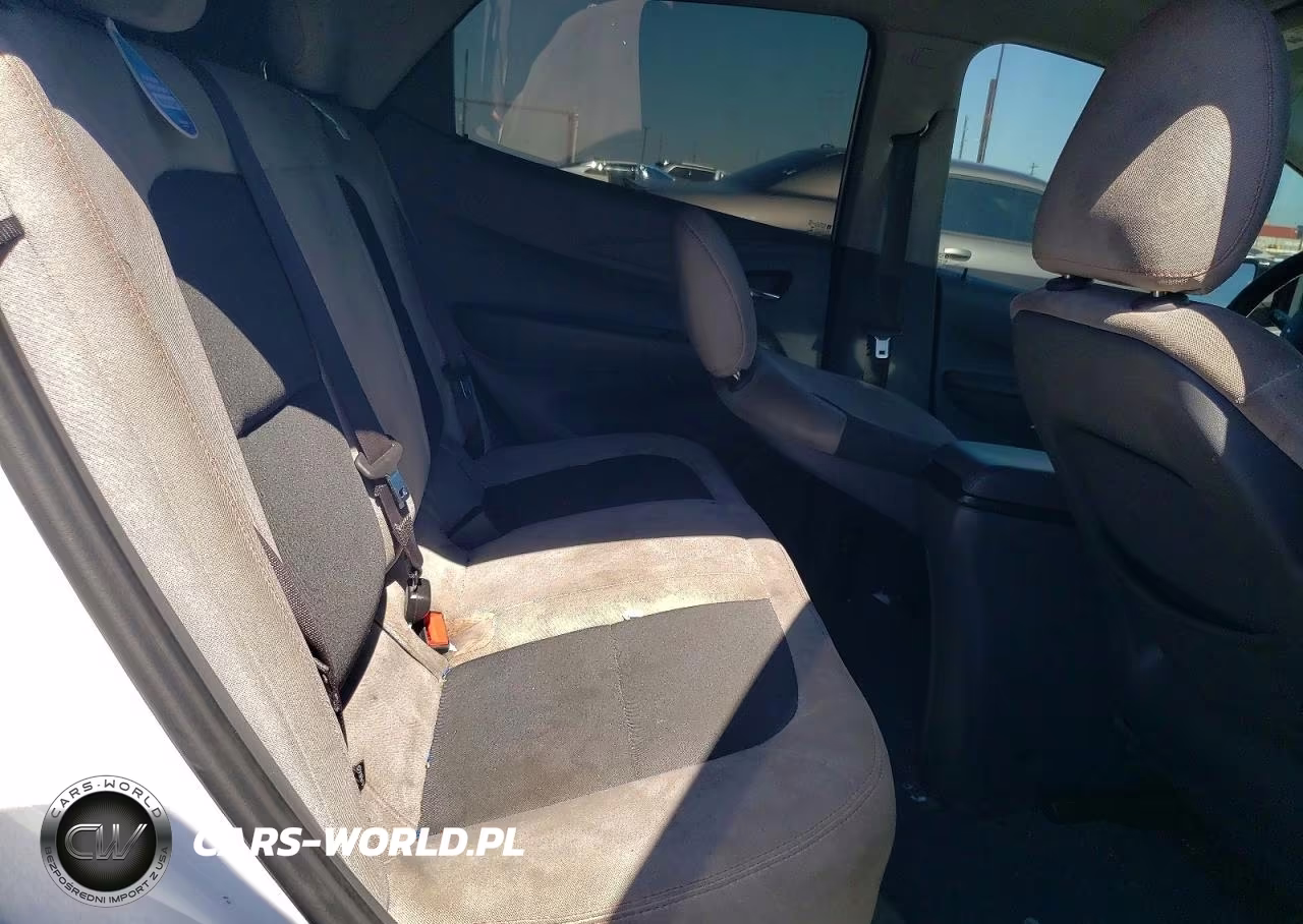 2017 Chevrolet Bolt Ev Lt VIN:1G1FW6S03H4166762 - 10