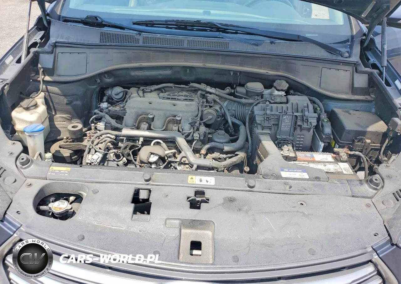 2017 Hyundai Santa Fe Limited Ultimate VIN:KM8SRDHF7HU178132 - 12