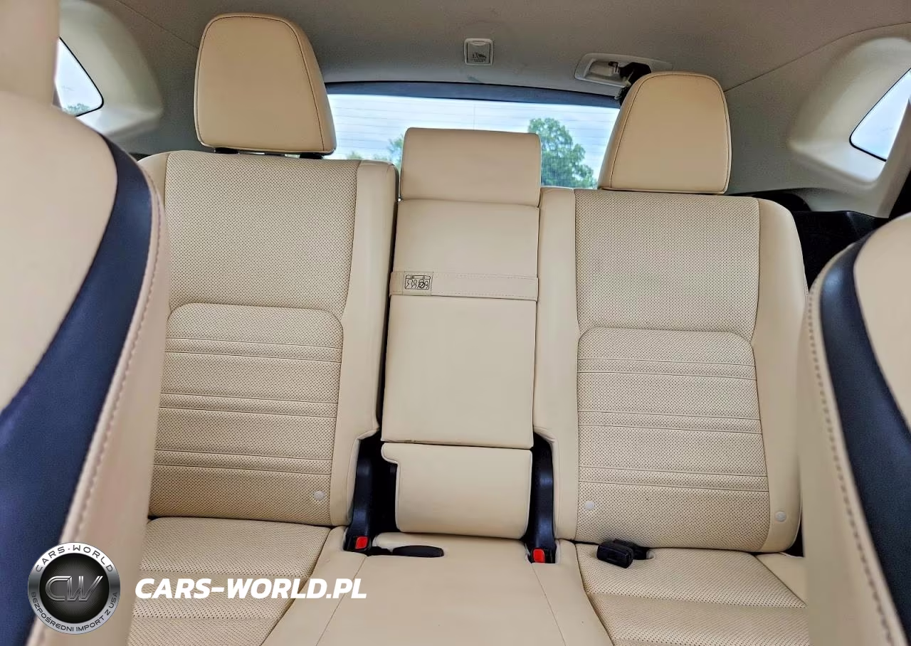 2015 Lexus Nx 200T VIN:JTJBARBZ4F2001362 - 10