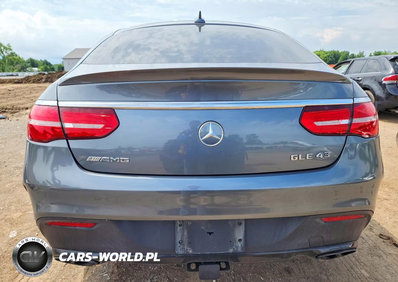 2019 Mercedes-Benz Gle Coupe 43 Amg VIN:4JGED6EB1KA134452 - 6