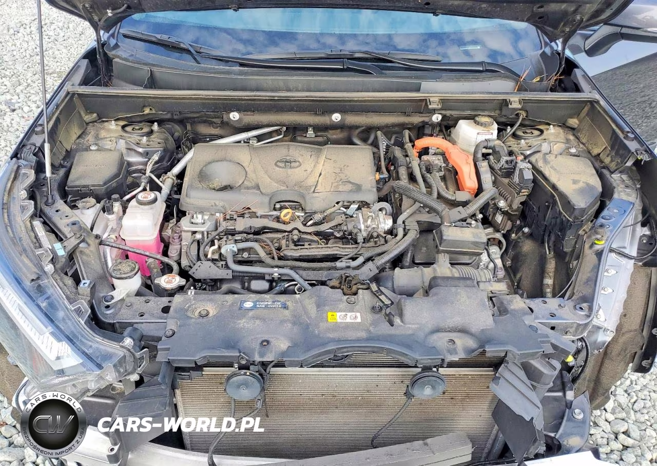 2024 Toyota Rav4 Hybrid Xle VIN:4T3RWRFV0RU110617 - 12