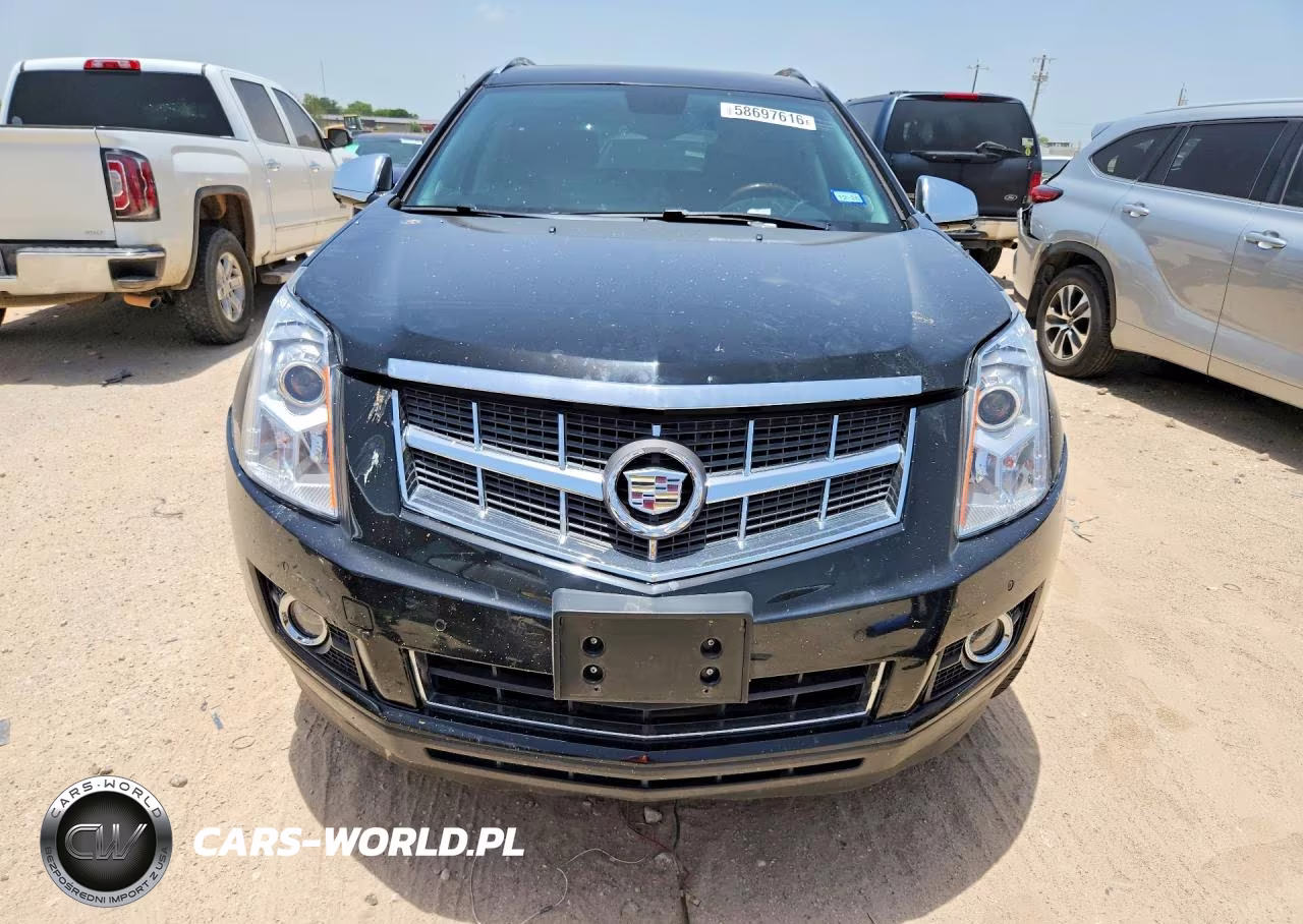 2010 Cadillac Srx Luxury Collection VIN:3GYFNDEY7AS593121 - 5