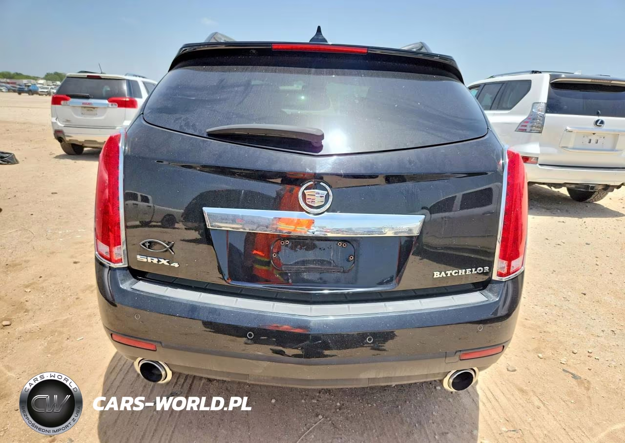 2010 Cadillac Srx Luxury Collection VIN:3GYFNDEY7AS593121 - 6