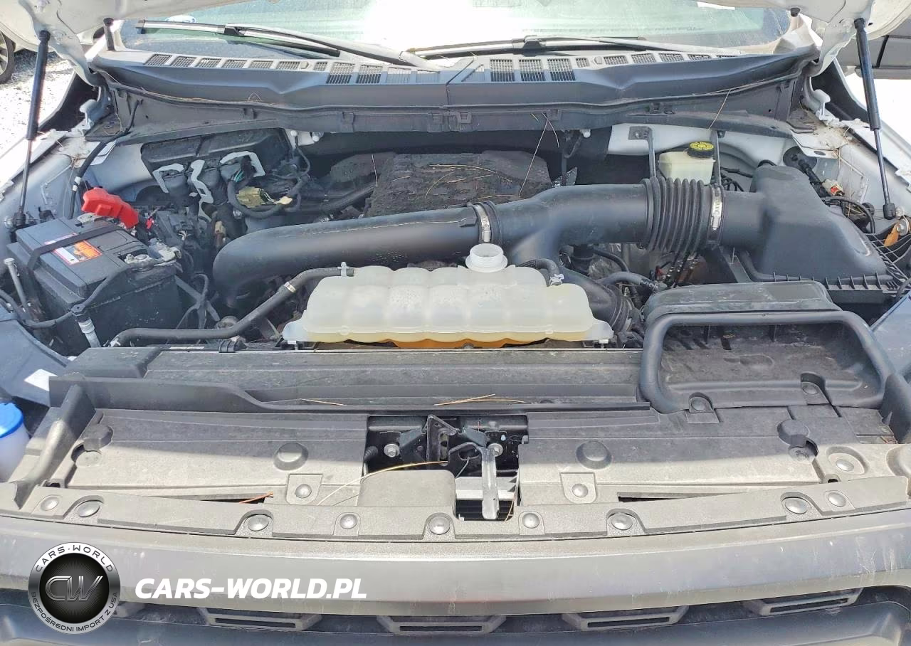 2022 Ford F150 Supercrew VIN:1FTEW1C89NKE08519 - 11