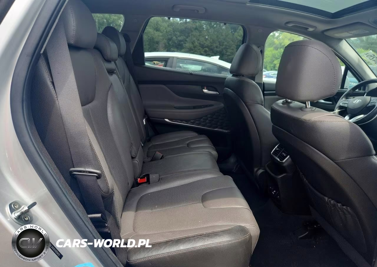 2020 Hyundai Santa Fe Limited VIN:5NMS5CADXLH170433 - 11