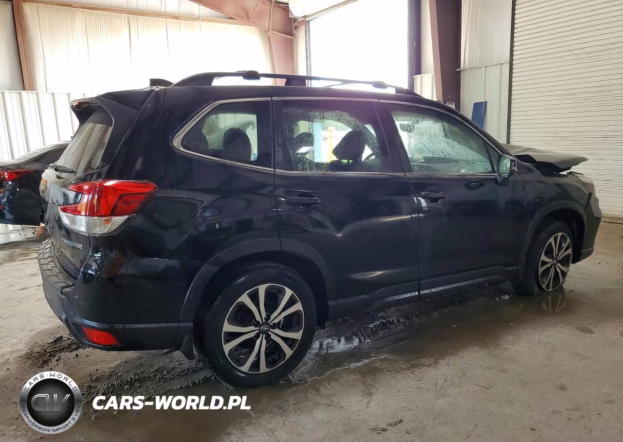 2019 Subaru Forester Limited VIN:JF2SKAUC8KH448442 - 3