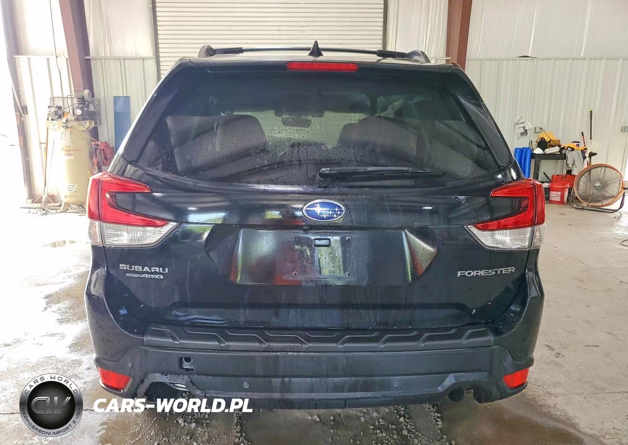 2019 Subaru Forester Limited VIN:JF2SKAUC8KH448442 - 6