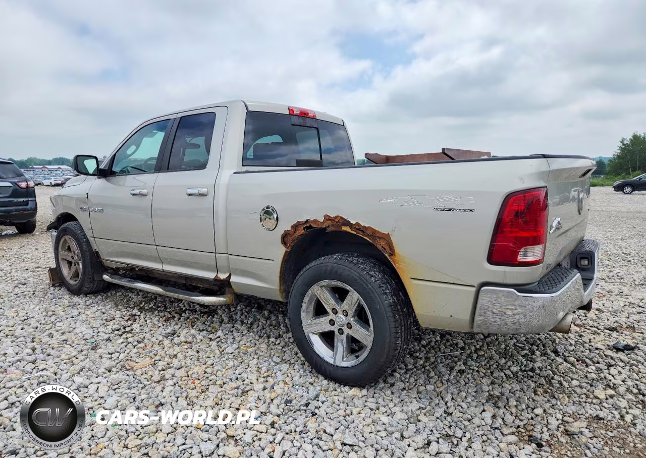 2010 Dodge Ram 1500 VIN:1D7RV1GT7AS186095 - 2