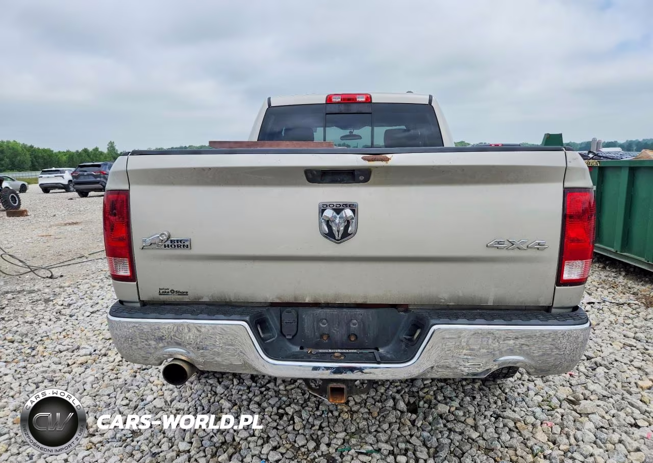 2010 Dodge Ram 1500 VIN:1D7RV1GT7AS186095 - 6