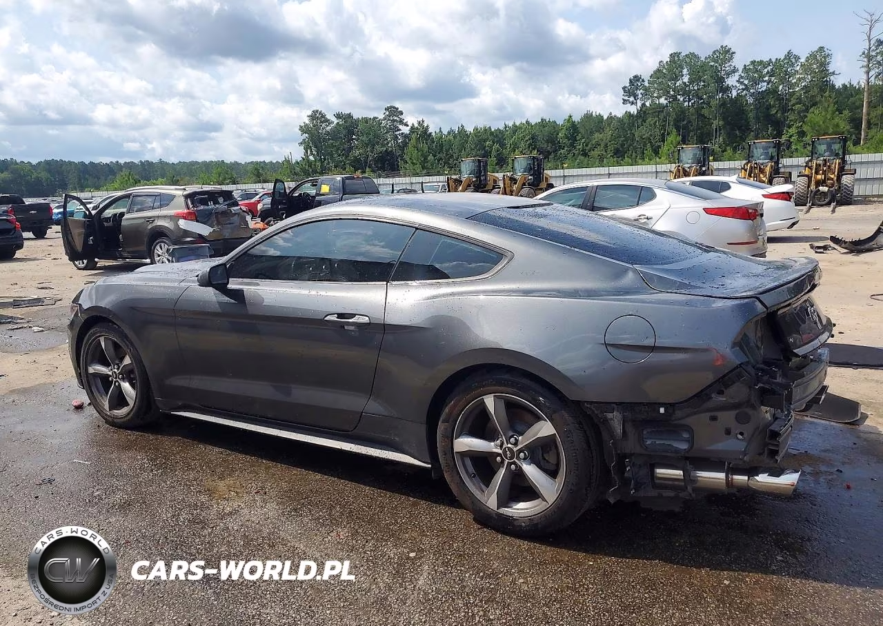 2016 Ford Mustang VIN:1FA6P8AMXG5331399 - 2