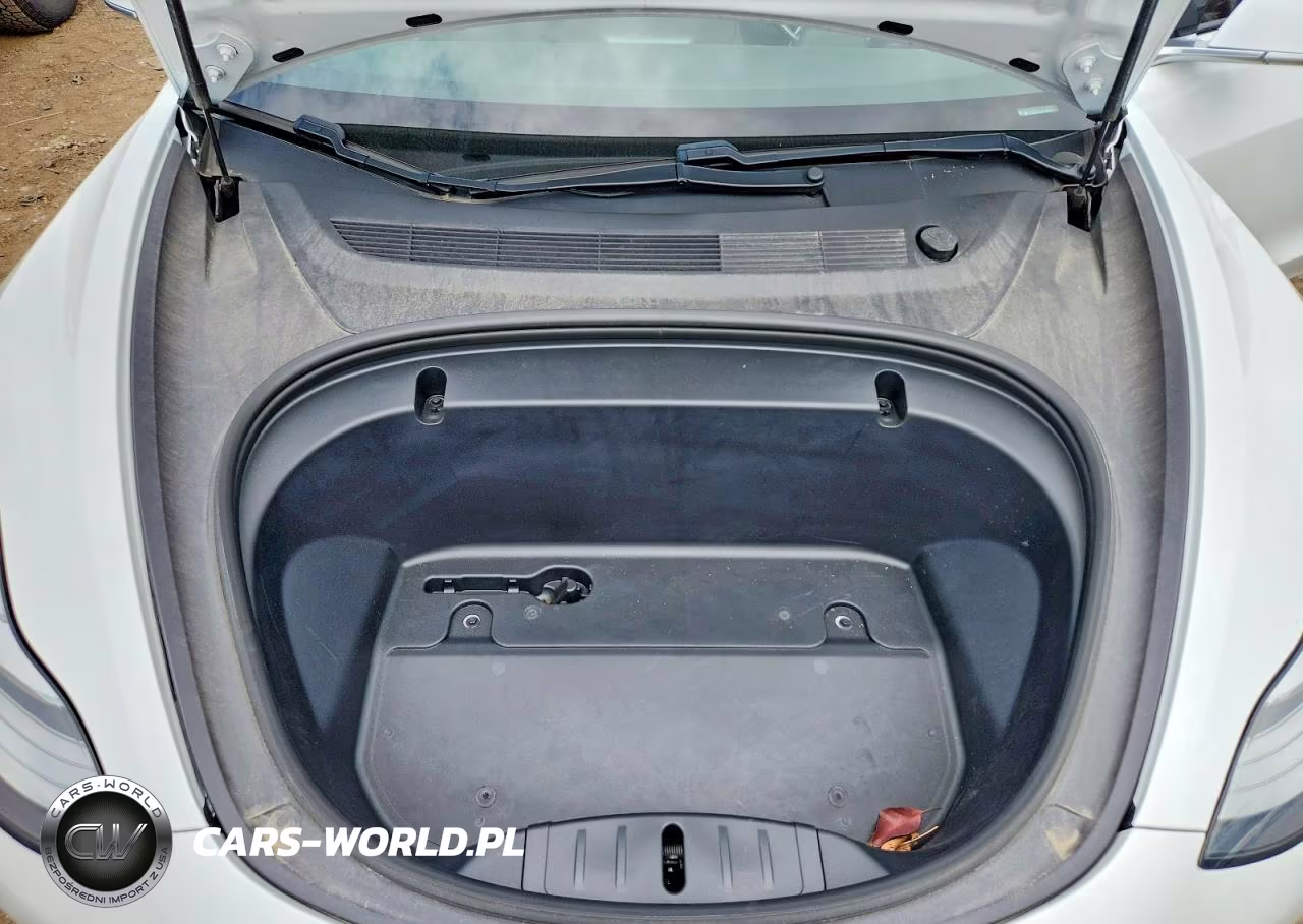 2020 Tesla Model 3 VIN:5YJ3E1EAXLF736987 - 11