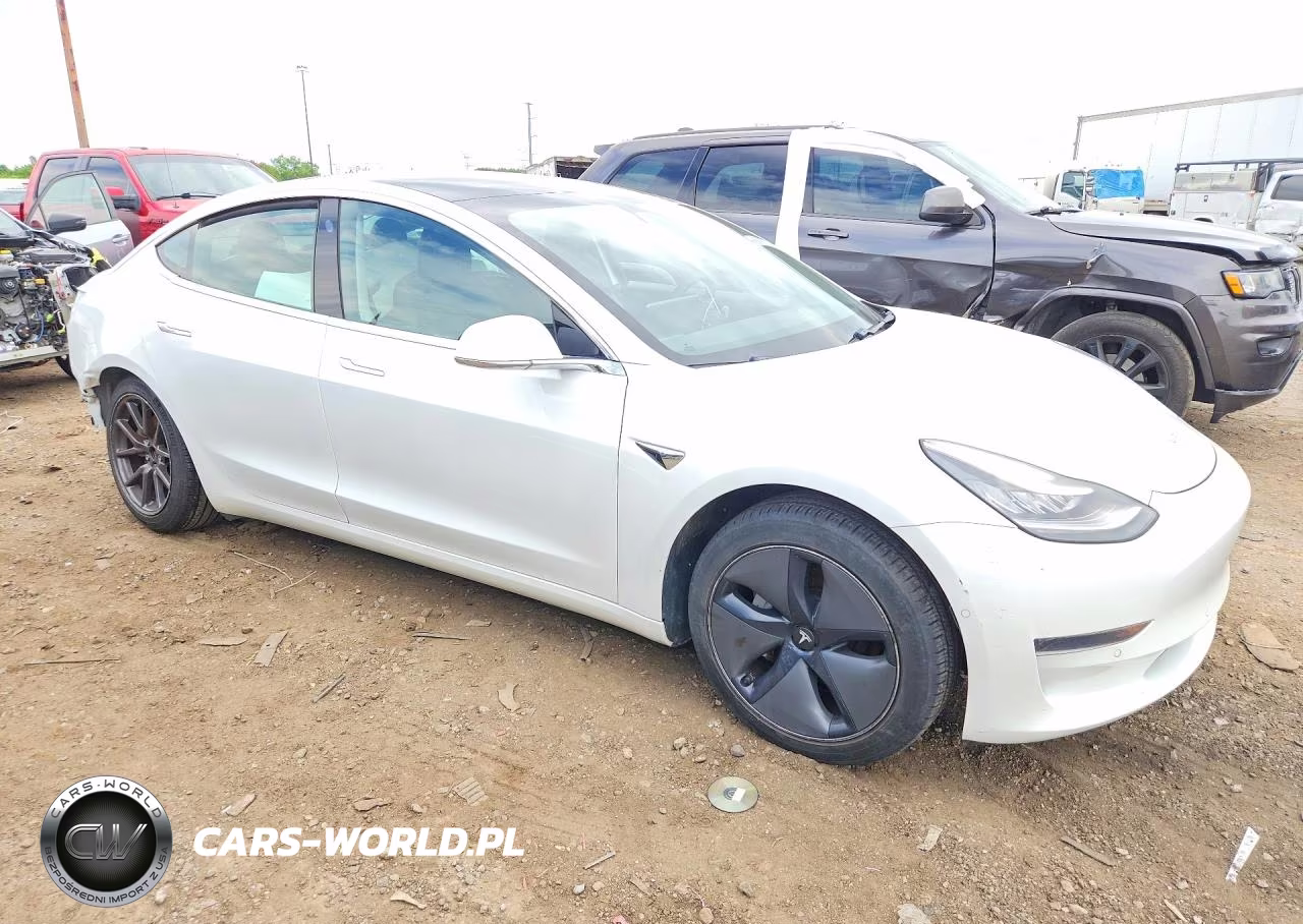 2020 Tesla Model 3 VIN:5YJ3E1EAXLF736987 - 4