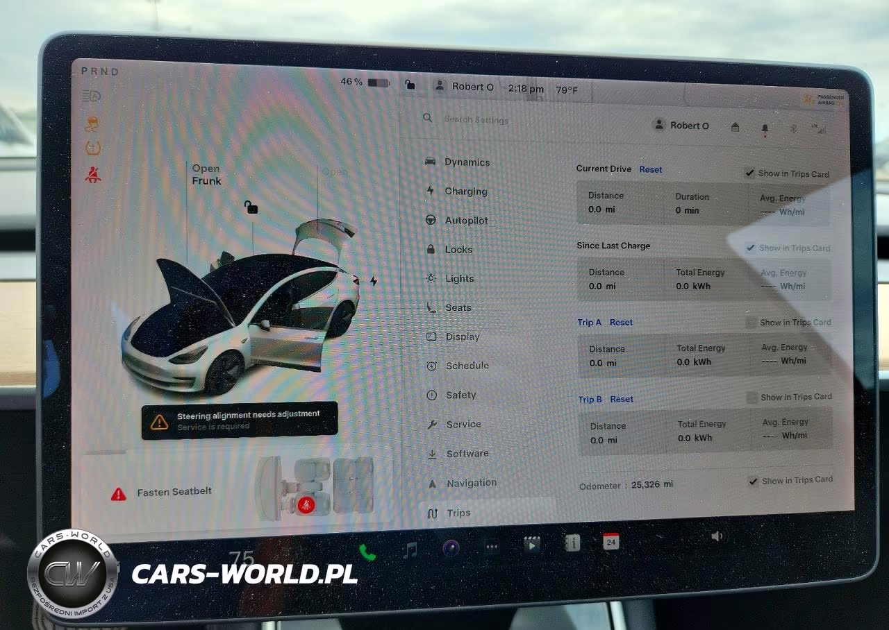 2020 Tesla Model 3 VIN:5YJ3E1EAXLF736987 - 9