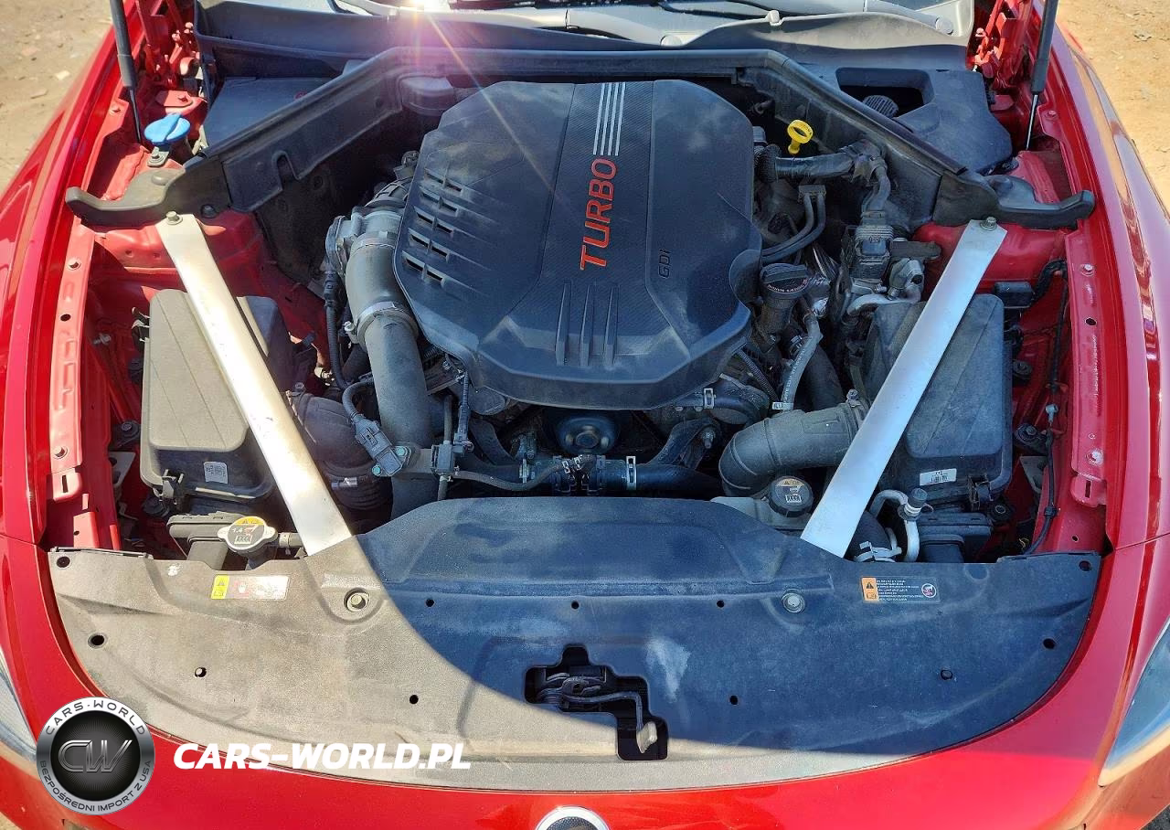 2019 Kia Stinger Gt VIN:KNAE35LCXK6067931 - 11