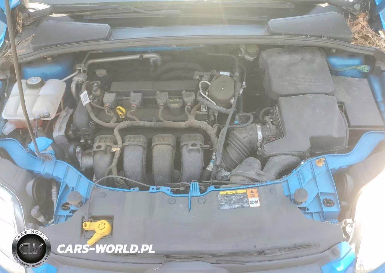 2013 Ford Focus Se VIN:1FADP3F25DL349916 - 7