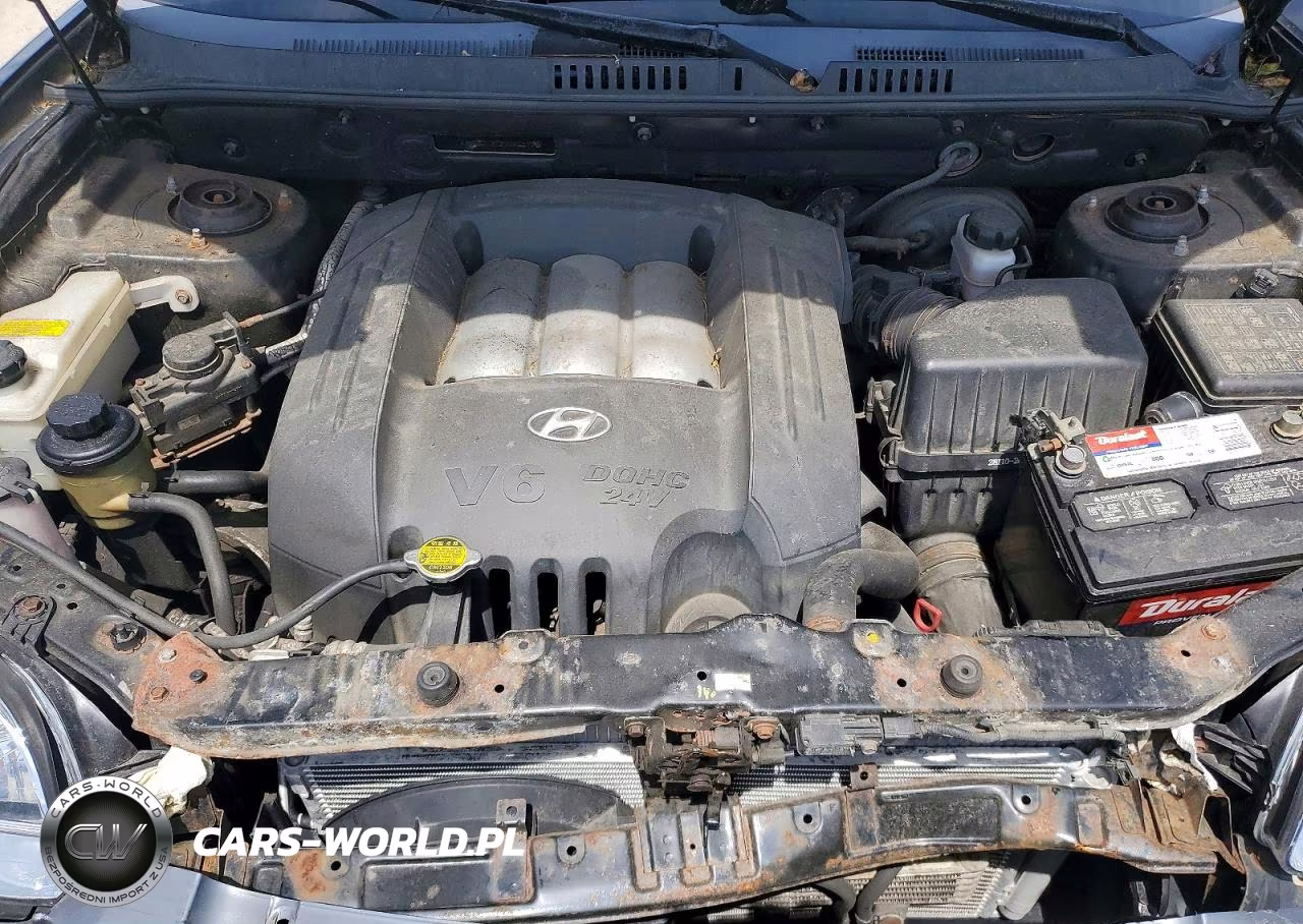 2005 Hyundai Santa Fe Gls VIN:KM8SC73D35U921776 - 12