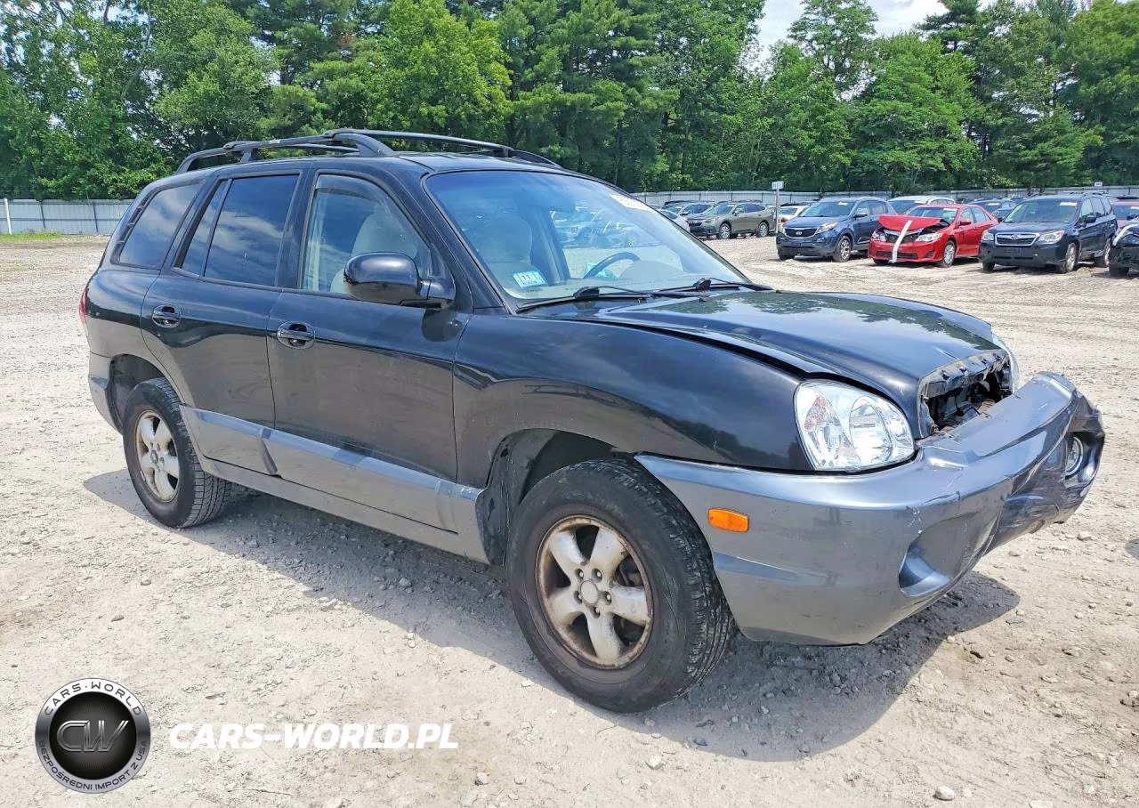 2005 Hyundai Santa Fe Gls VIN:KM8SC73D35U921776 - 4