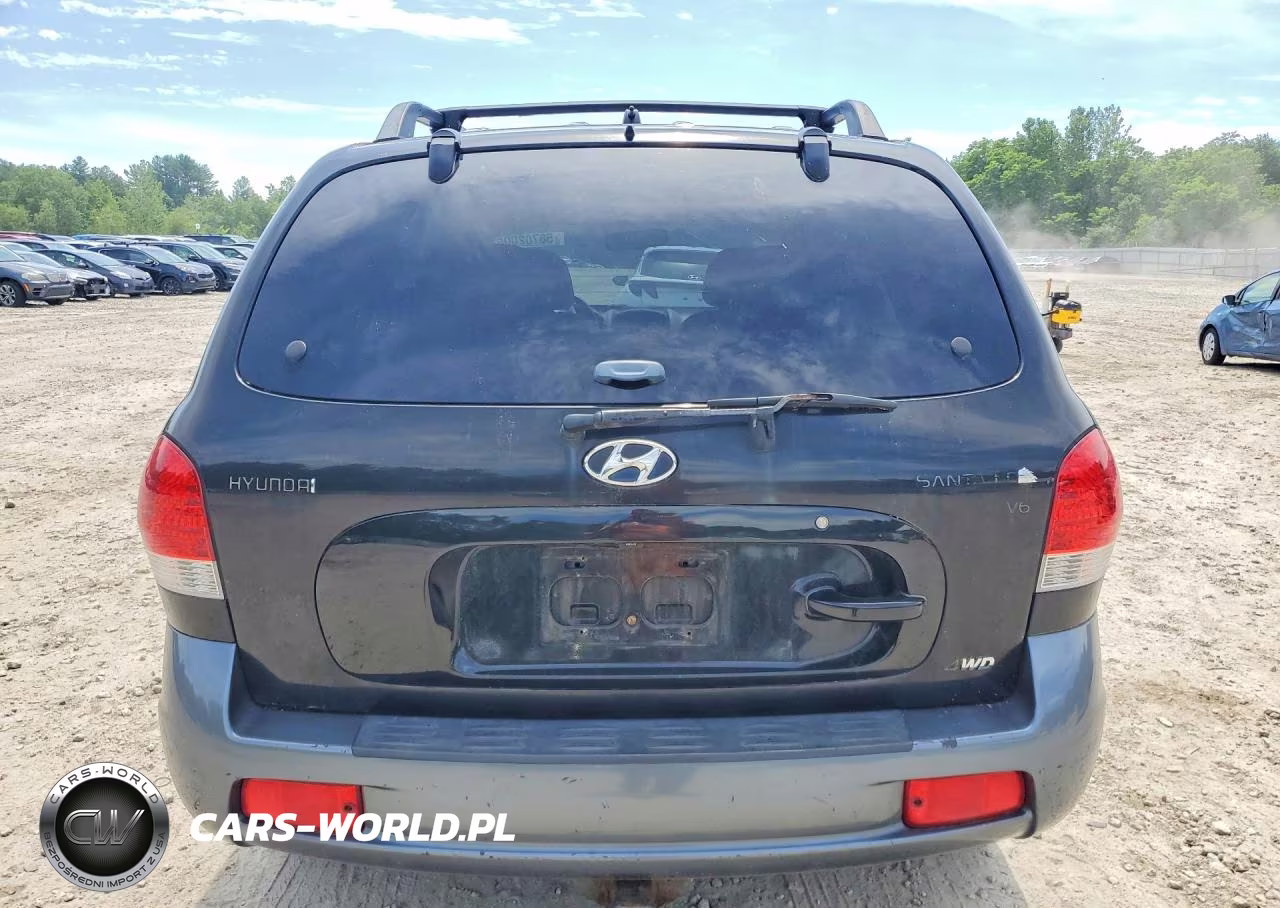 2005 Hyundai Santa Fe Gls VIN:KM8SC73D35U921776 - 6