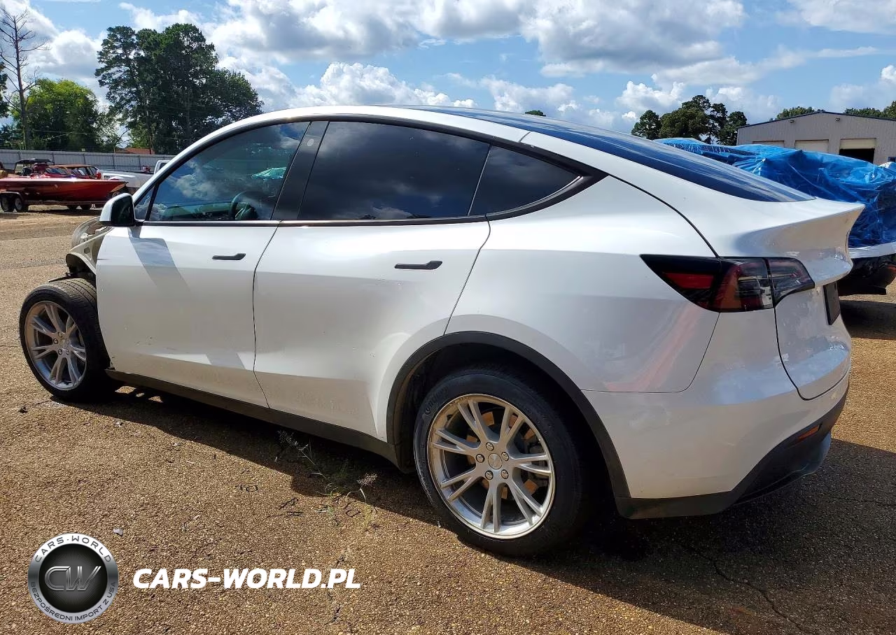 2023 Tesla Model Y VIN:7SAYGDEE4PA093630 - 2