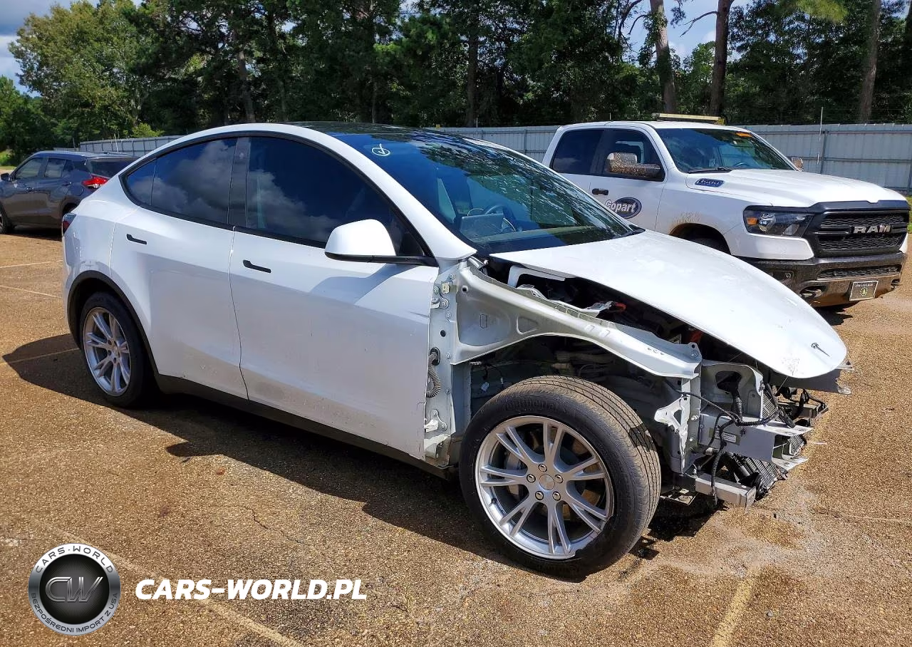 2023 Tesla Model Y VIN:7SAYGDEE4PA093630 - 4
