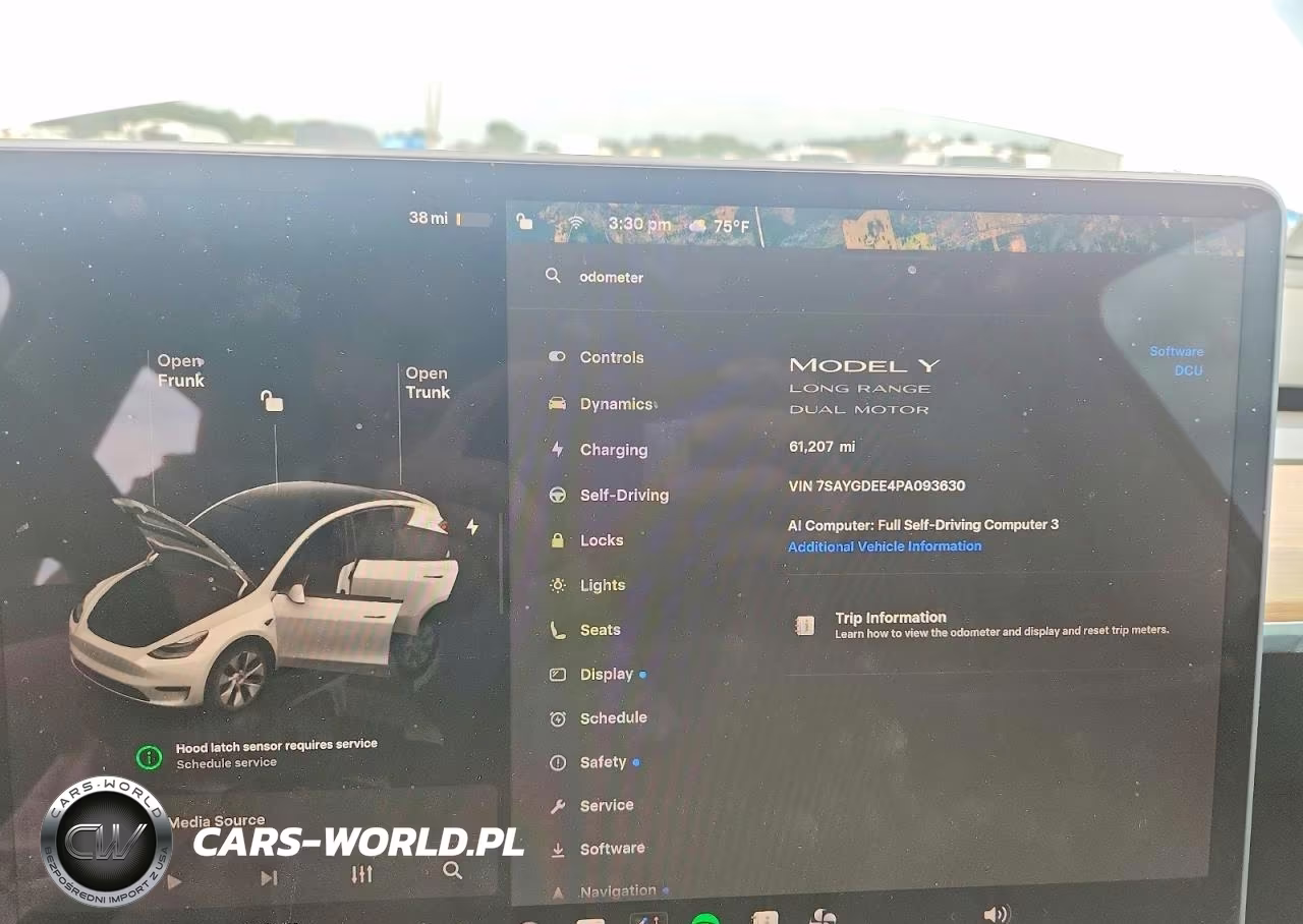 2023 Tesla Model Y VIN:7SAYGDEE4PA093630 - 9