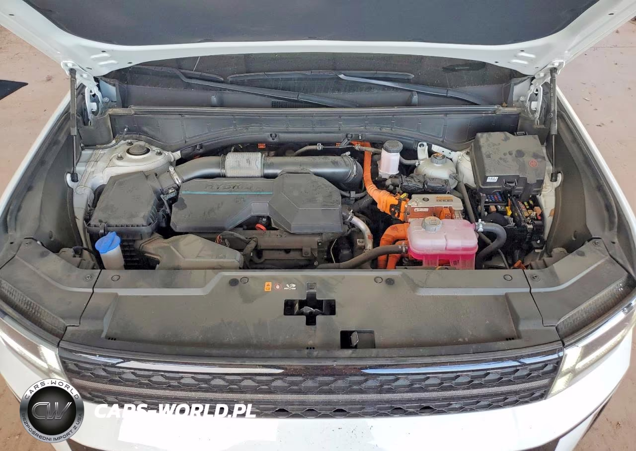 2025 Hyundai Santa Fe Calligraphy VIN:5NMP5DG17SH046014 - 12