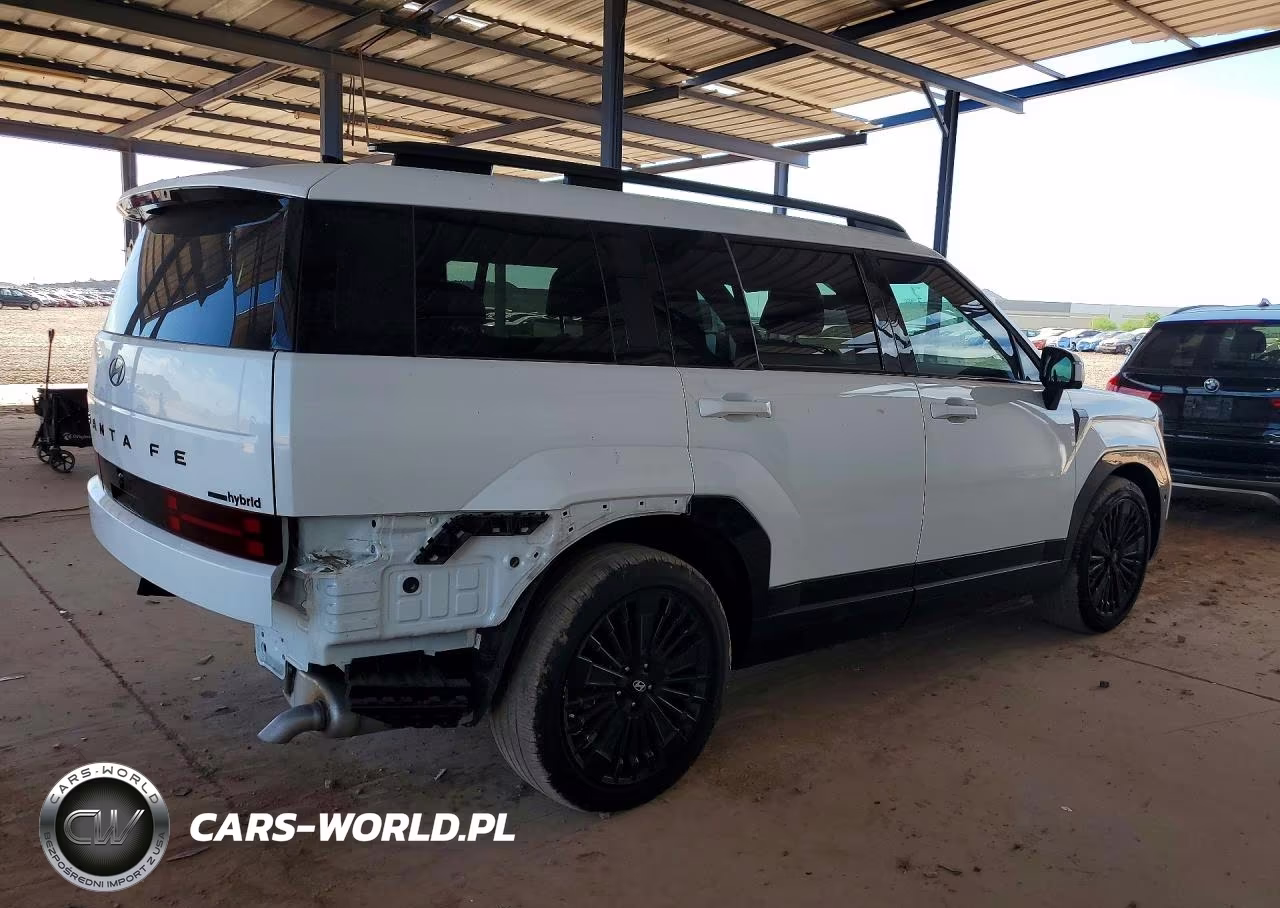 2025 Hyundai Santa Fe Calligraphy VIN:5NMP5DG17SH046014 - 3