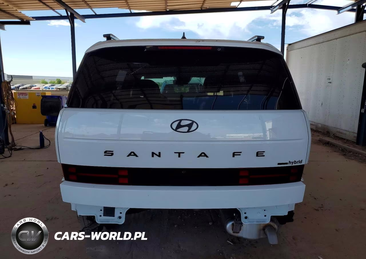 2025 Hyundai Santa Fe Calligraphy VIN:5NMP5DG17SH046014 - 6