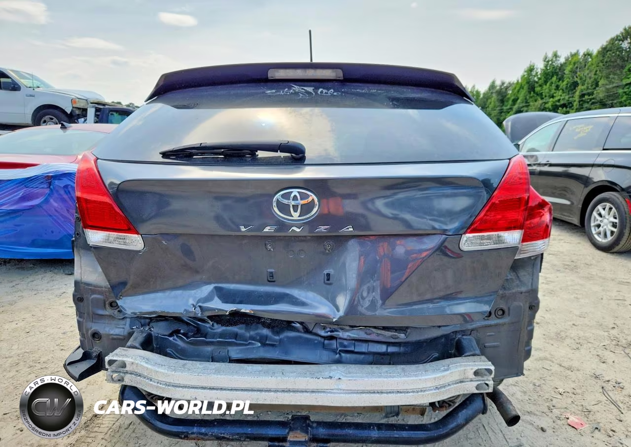 2010 Toyota Venza Fwd 4Cyl VIN:4T3ZA3BB3AU030109 - 6