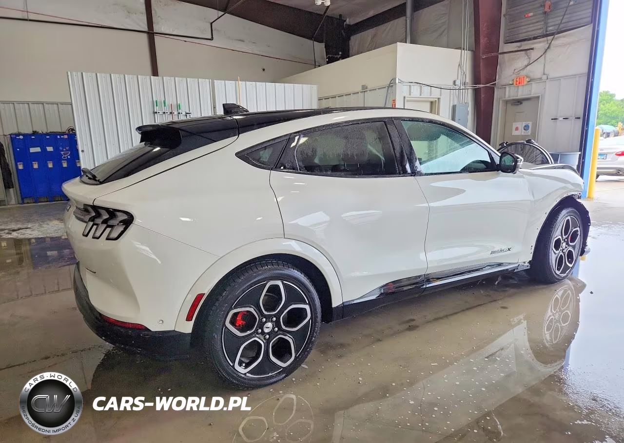 2023 Ford Mustang Mach-E Gt VIN:3FMTK4SE5PMA11912 - 3