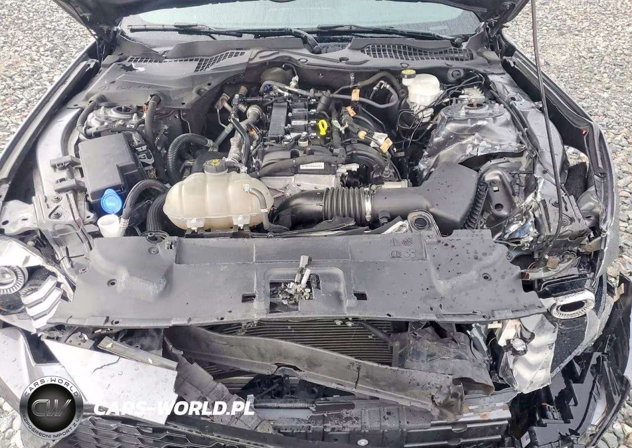 2023 Ford Mustang Ecoboost Premium Fastback VIN:1FA6P8TH7P5108401 - 11