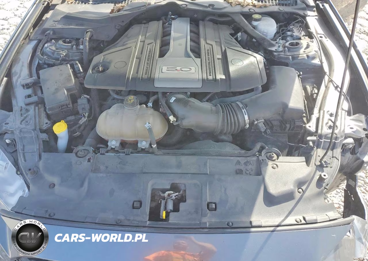 2019 Ford Mustang Gt VIN:1FA6P8CF1K5189550 - 11
